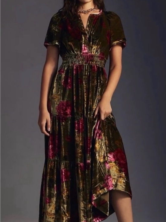 Anthropologie Dresses & Skirts - Anthropologie Somerset Velvet Floral Maxi Dress